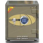 Két sắt vân tay Truly Gold TLG50-VT