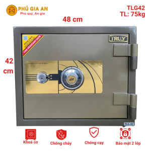 Két sắt Truly Gold TLG42C