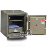 Két sắt vân tay Truly Gold TLG50-VT